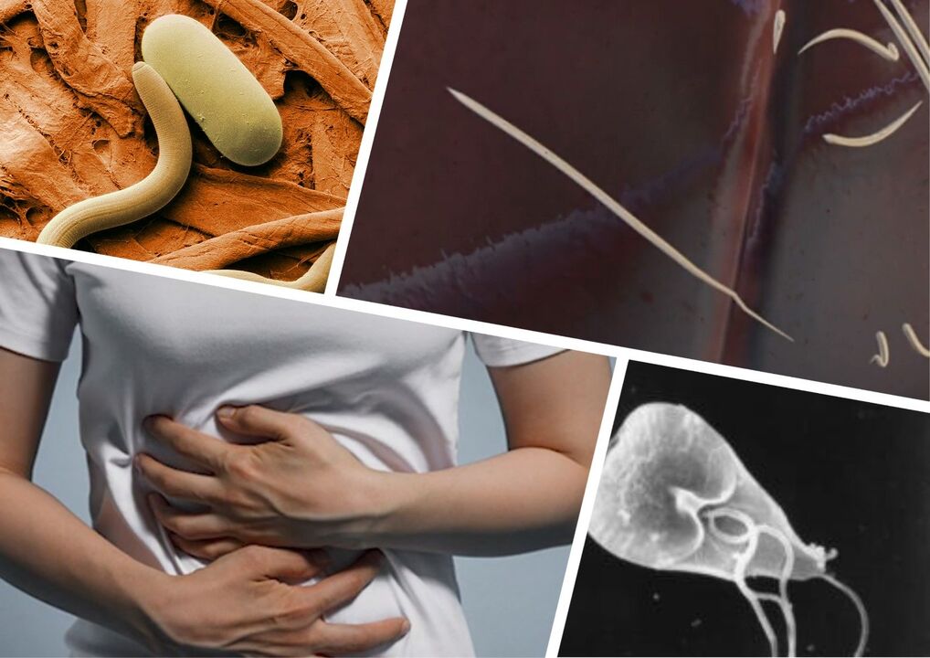 Parasiten bei der Behandlung des Körpers