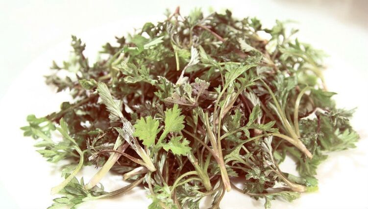 Wormwood von Parasiten